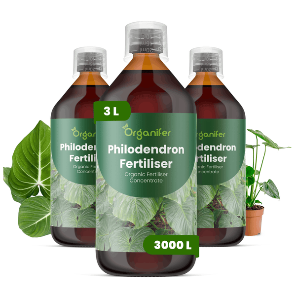 Drei Flaschen Organifer Philodendron-Dünger, organisches Düngerkonzentrat, 3 Liter.