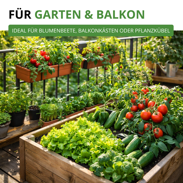 Bepflanztes Hochbeet aus Holz und Balkonkästen mit Tomaten, Salat und Gurken auf einem sonnigen Balkon, ideal für Garten und Balkon.