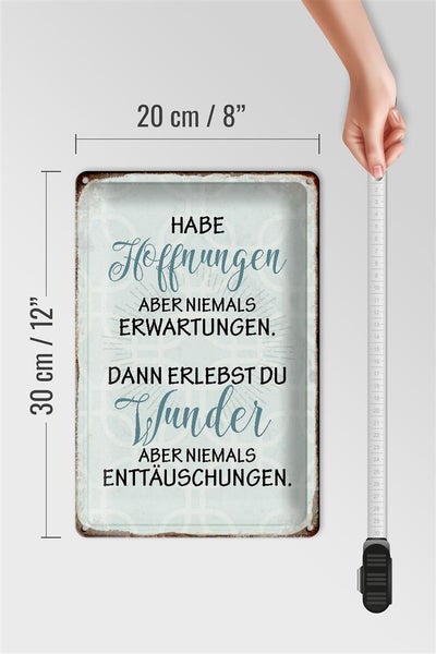 Blechschild Spruch 20x30cm habe Hoffnungen nie Erwartungen