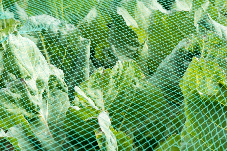 Teichnetz 29m x 10m Laubnetz Silonetz Laubschutznetz Vogelschutznetz Teichschutz