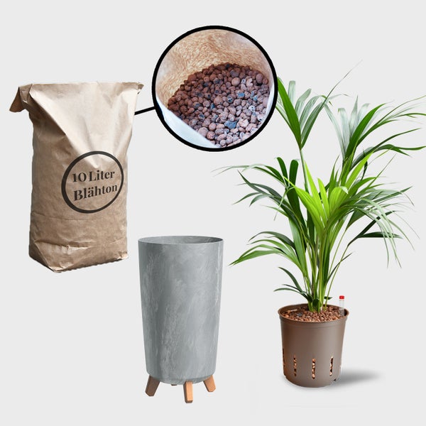 Zimmerpflanze, Pflanzgefäß, Hydroton und Pflanzerde dargestellt.