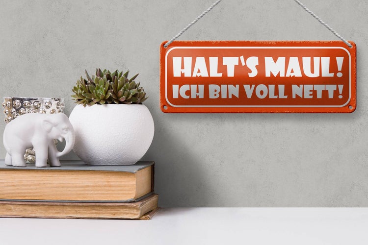Blechschild Spruch 27x10cm halt`s Maul ich bin voll nett Dekoration