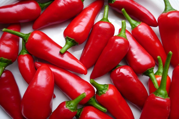 SAFLAX Geschenk Set - BIO - Chili - Barak - Capsicum annuum - 15 Samen - Mit Geschenkbox, Versandaufkleber, Geschenkkarte und Anzuchtsubstrat