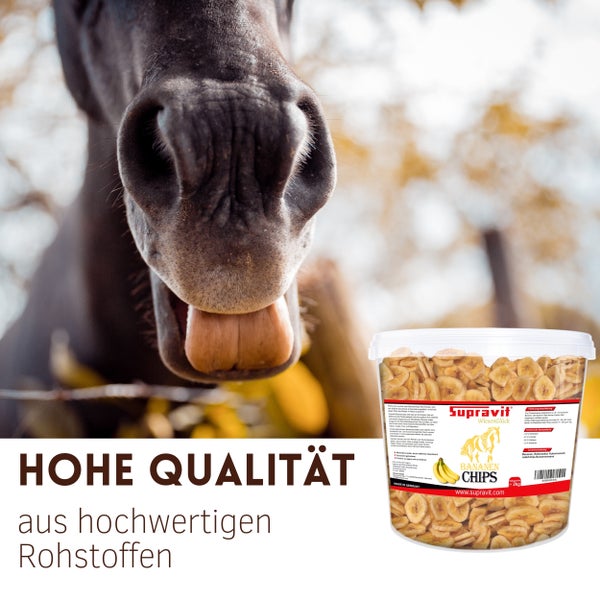 Nahaufnahme eines Pferdes mit Eimer Bananenchips der Marke Supravit