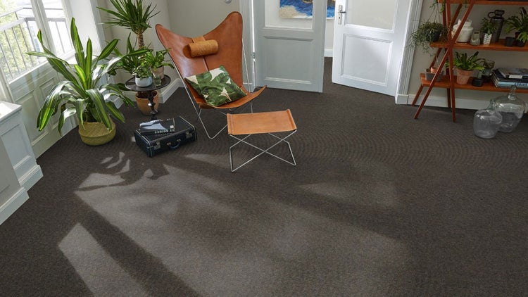 Wohnzimmer mit dunklem, strukturiertem Teppichboden, einem Butterfly-Sessel aus Leder, grünen Zimmerpflanzen und Holzregal bei hellem Tageslicht.