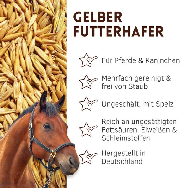 Gelber Futterhafer für Pferde und Kaninchen, mehrfach gereinigt und staubfrei, ungeschält mit Spelz, reich an ungesättigten Fettsäuren, Eiweißen und Schleimstoffen, hergestellt in Deutschland