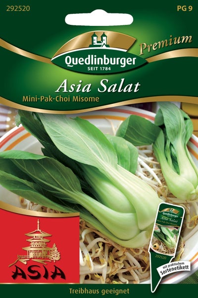 Samentüte für Asia Salat Mini-Pak-Choi Misome, Quedlinburger Logo, geeignet für das Gewächshaus, Abbildung von frischem Pak Choi.