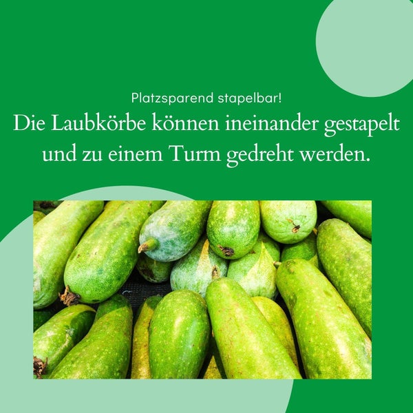 Grafik mit Text über platzsparend stapelbare Laubkörbe über einer Abbildung von grünen Wintermelonen.