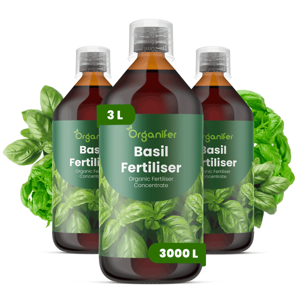Drei Flaschen Organifer Basilikum-Dünger, biologisches Flüssigdünger-Konzentrat, insgesamt 3 Liter.