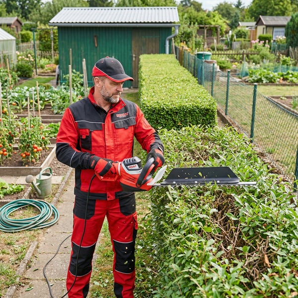 Gärtner schneidet Hecke mit einer elektrischen Heckenschere in einem Garten.
