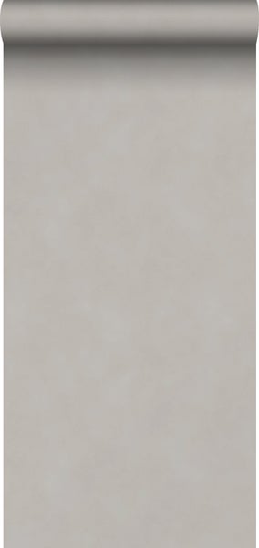 Sanders und Sanders Tapete Uni Taupe - 53 cm x 10,05 m - 935209