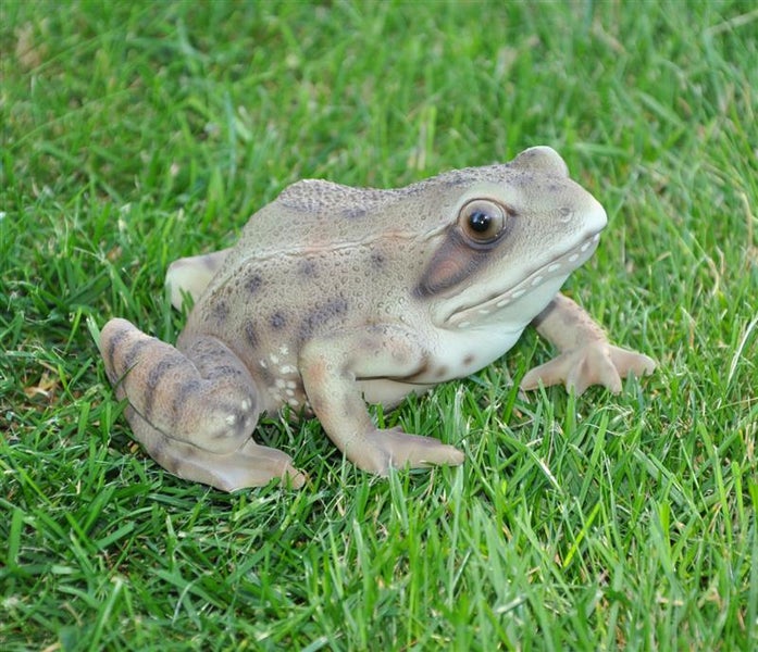 Gartenfigur Teichfigur Dekofigur Frosch