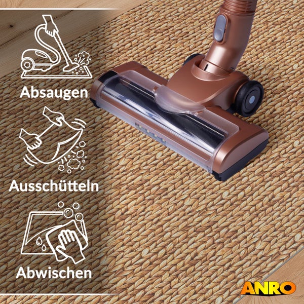 Geflochtener Teppich wird abgesaugt. Symbole für Absaugen, Ausschütteln und Abwischen. ANRO Logo.