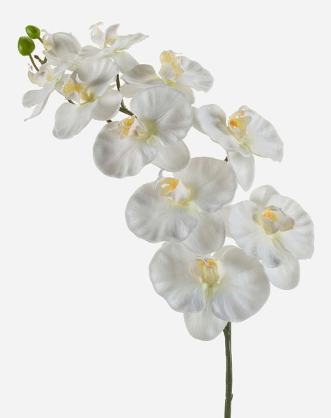 Künstliche Pflanze in einem mit Jute umwickelten Topf.