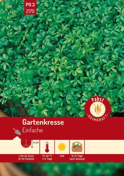 Gartenkresse Einfache von Pabst Keimkraft. Saattiefe 0 Zentimeter, Keimung bei 15 bis 20 Grad Celsius, Ernte nach 8 bis 15 Tagen. Pabst Keimkraft Logo.