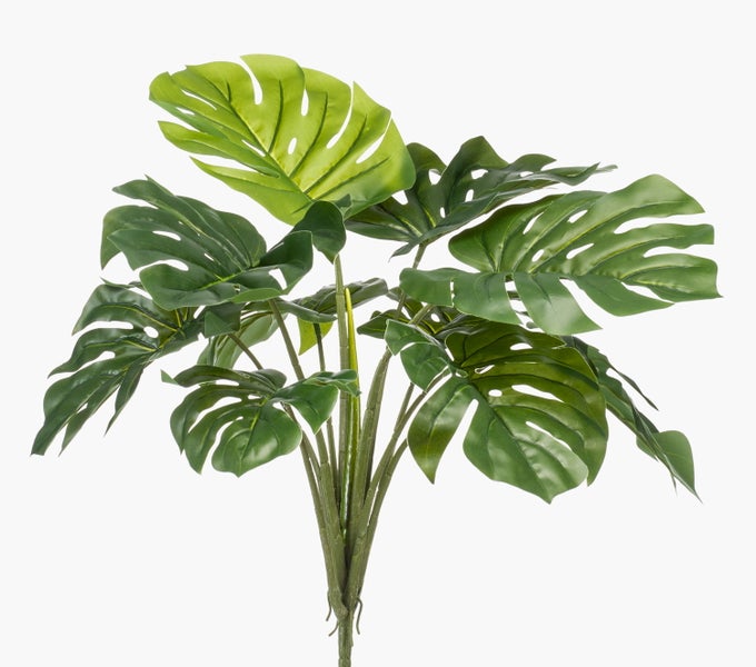 Nahaufnahme einer rosa Dahlie mit zahlreichen Blütenblättern.