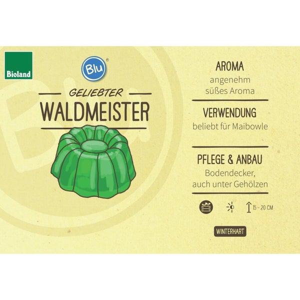 Etikett für Waldmeister von Blu mit Bioland Logo, Informationen zu Aroma, Verwendung für Maibowle, Pflege als Bodendecker und Wuchshöhe 15 bis 20 cm.