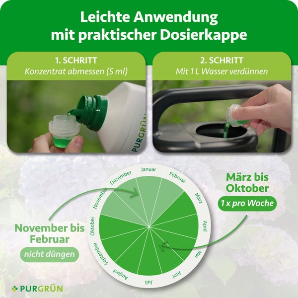 Infografik zur Anwendung von Purgrün Flüssigdünger: 5 Milliliter Konzentrat abmessen, in 1 Liter Wasser verdünnen. Düngekalender von März bis Oktober.