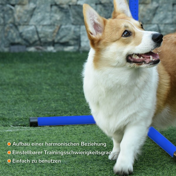 PawHut Agility-Ausrüstung, L99 x B65 x H94 cm, Kunststoff (PE, ABS), Blau