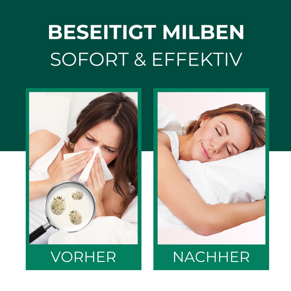 Silberkraft Milbenspray Sofa 500 ml, Anti-Milben-Schutz bei Hausstauballergie