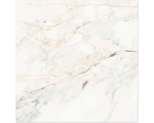 Wand- und Bodenfliese Pamesa Pisa gold 60x60 cm poliert