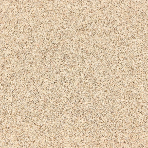 Terralith Kompaktboden WAND zabaione für 1 qm