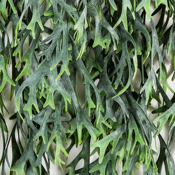 Detailaufnahme einer künstlichen Hängepflanze mit grün gefächerten Blättern in Hirschgeweihform.