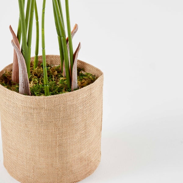 Künstliche Pflanze im Topf aus Jute mit Moosbedeckung.