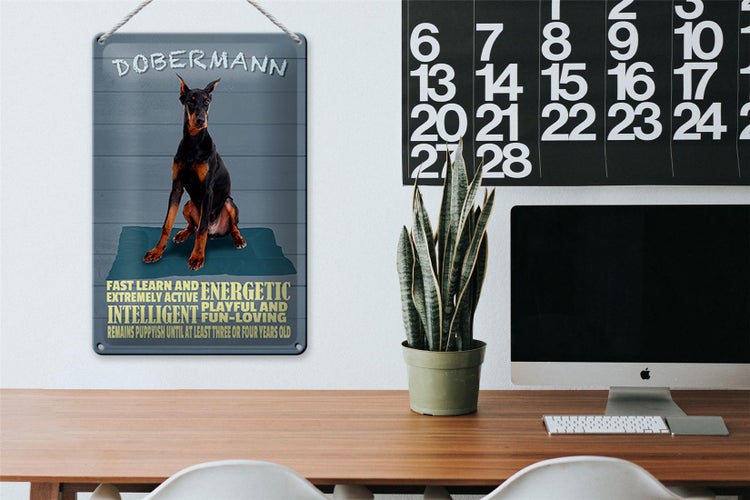 Blechschild Spruch 20x30cm Dobermann Hund fast learn and