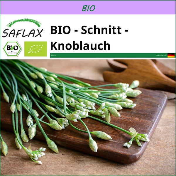 SAFLAX  - BIO - Schnitt - Knoblauch - Allium tuberosum - 100 Samen