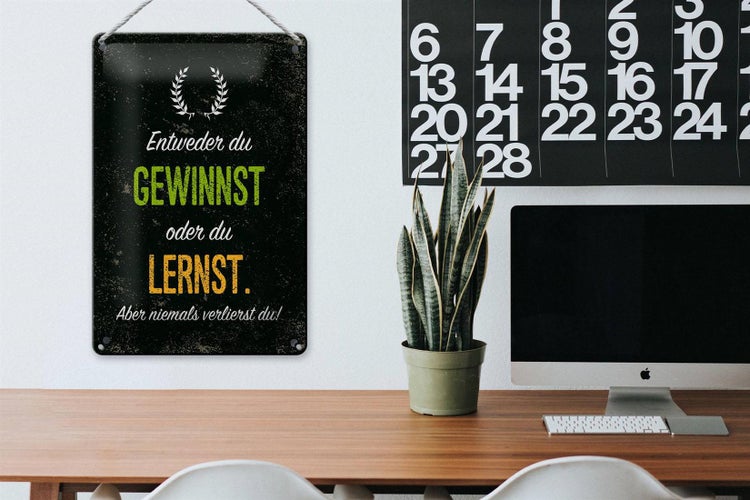 Blechschild Spruch Entweder du gewinnst oder lernst 20x30cm