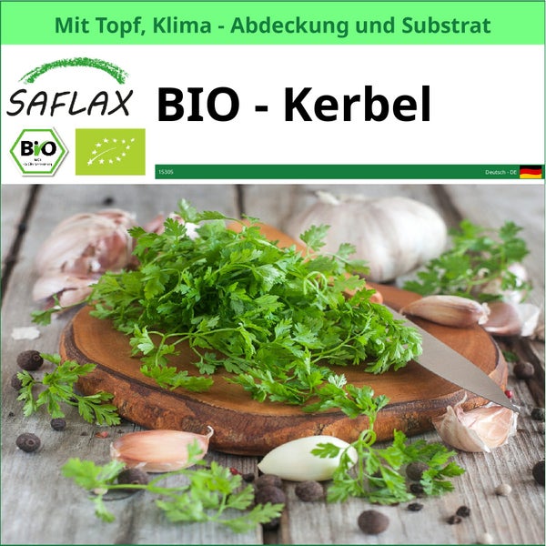 Saflax Bio Kerbel Set mit Topf, Klimaabdeckung und Substrat
