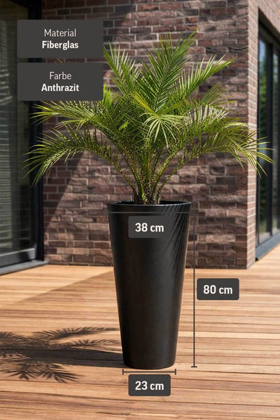 Hoher Pflanzkübel aus Fiberglas in Anthrazit mit Palme auf Holzterrasse. Maße: 80 Zentimeter hoch, 38 Zentimeter oben, 23 Zentimeter unten.