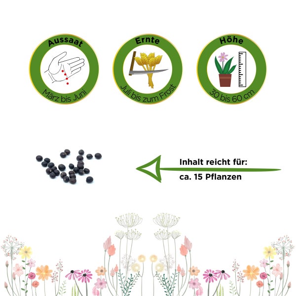 Salbei Samen von Deine Gartenwelt