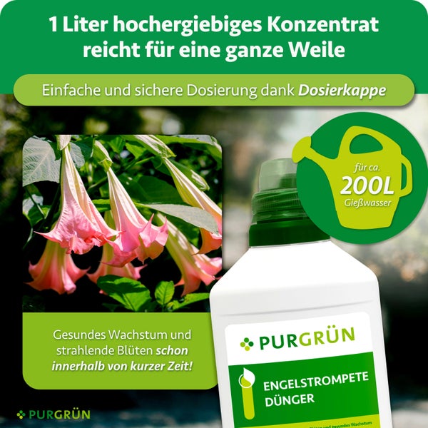 Purgrün Engelstrompeten Dünger als hochgiebiges Konzentrat in der 1 Liter Flasche mit Dosierkappe für gesunde Pflanzen und reiche Blütenbildung.