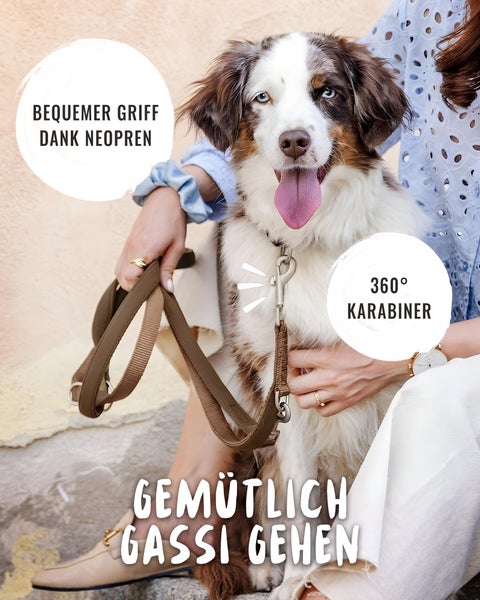 Hundeleine mit gepolstertem Neopren-Griff und 360 Grad drehbarem Karabinerhaken, gehalten von einer Person neben einem Hund.