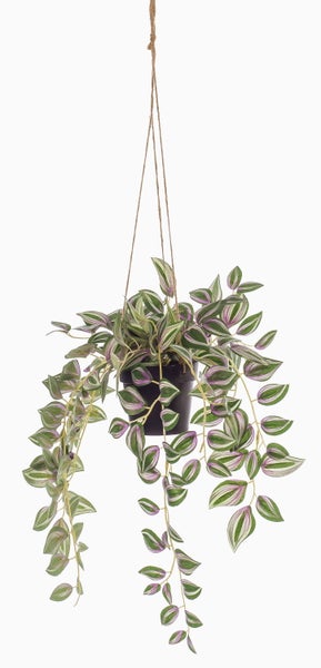 Künstliche Hängepflanze Tradescantia im schwarzen Topf mit gestreiften Blättern.