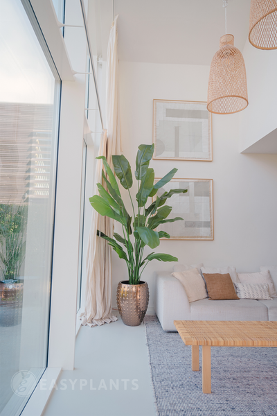 Kunstpflanze Strelitzia Nicolai Deluxe 240 cm real touch