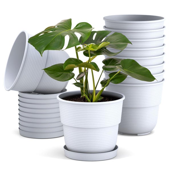 Weiße Blumentöpfe aus Kunststoff mit horizontaler Rillenstruktur, inklusive passender Untersetzer und einer eingetopften Monstera-Pflanze.