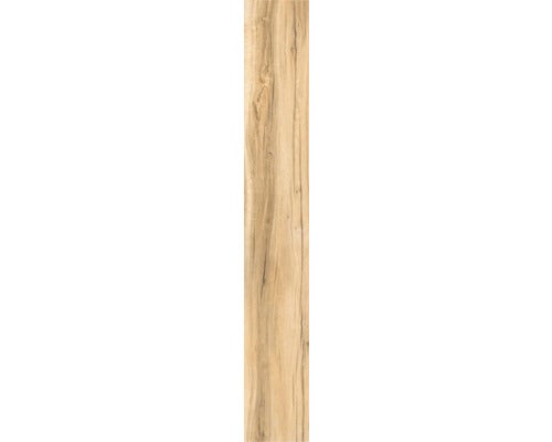 Wand- und Bodenfliese Aretino honey 23,4x148cm rektifiziert