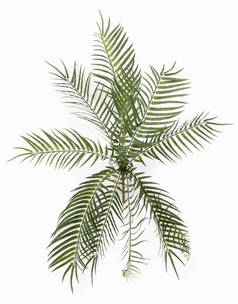 Künstlicher Farnwedel mit detaillierten Blättern