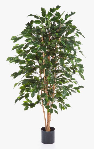 Künstlicher Ficus mit grünen Blättern und Holzstamm im schwarzen Kunststofftopf.