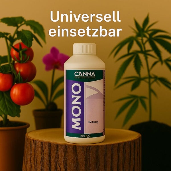 Eine Flasche Canna Mono Kalium Dünger steht auf einem Baumstamm vor einer Tomatenpflanze und einer Hanfpflanze.