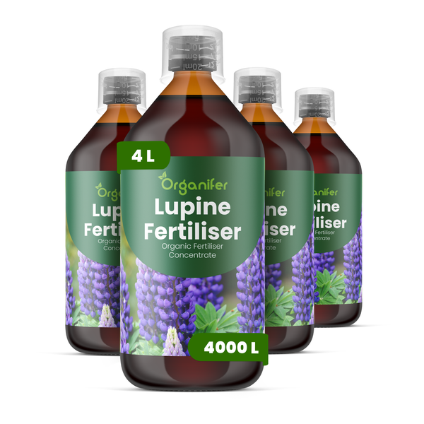 Vier Flaschen organisches Organifer Lupinen-Dünger Konzentrat, 4 Liter Gesamtmenge für bis zu 4000 Liter Flüssigdünger.