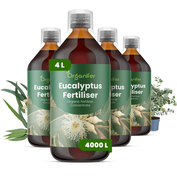 Organifer Eukalyptus-Dünger, organisches Düngerkonzentrat, 4 Liter, für 4000 Liter, 4 Flaschen