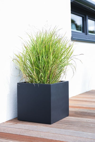 Schwarzer quadratischer Pflanzkübel mit grünem Ziergras auf einer Holzterrasse.