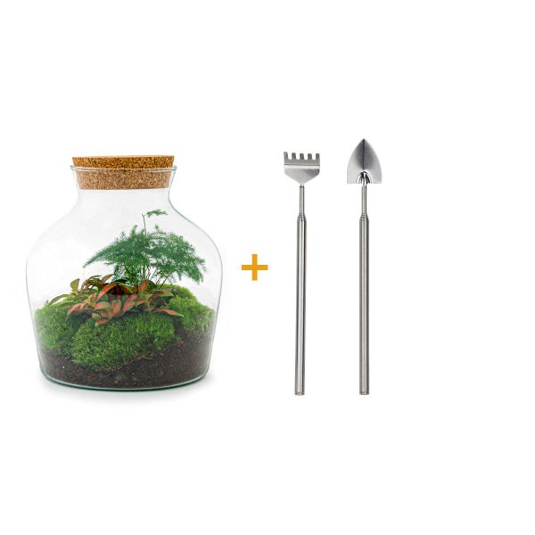 Flaschengarten Little Joe - DIY-Pflanzenterrarium - 21,5 cm - incl. Rechen und Schaufel