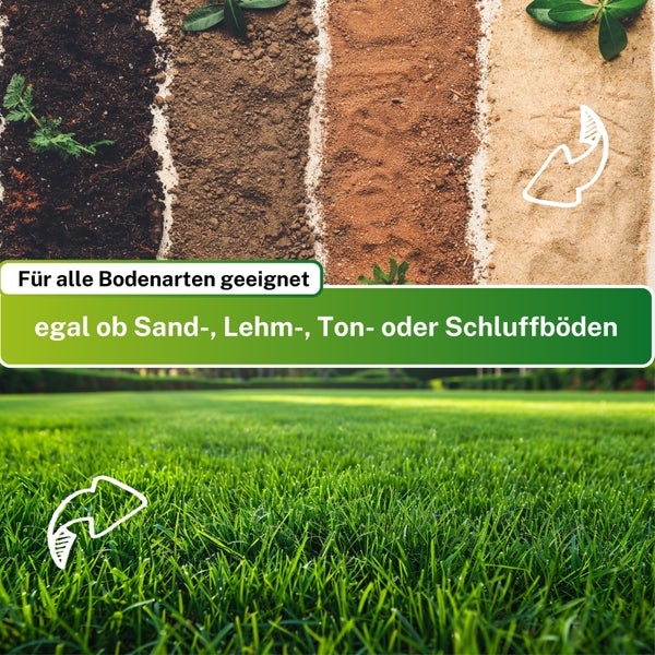 Greenyp Super Rasen I sattgrüner Premium Zierrasen I 5kg für 200m² I Traumrasen Nachsaat Grassamen Rasensamen Rasensaat Gras schnellkeimend
