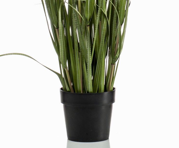 Künstliches Pampasgras im schwarzen Topf mit grünen Halmen und hellen Blütenwedeln.