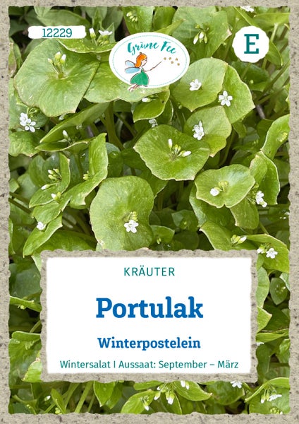 Samentüte für Portulak Winterpostelein der Marke Grüne Fee mit grünen runden Blättern und kleinen weißen Blüten. Grüne Fee Logo.